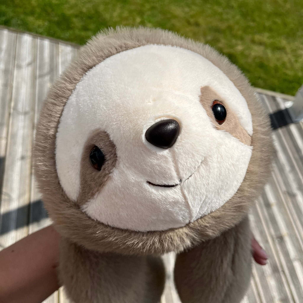 Comfort Panda