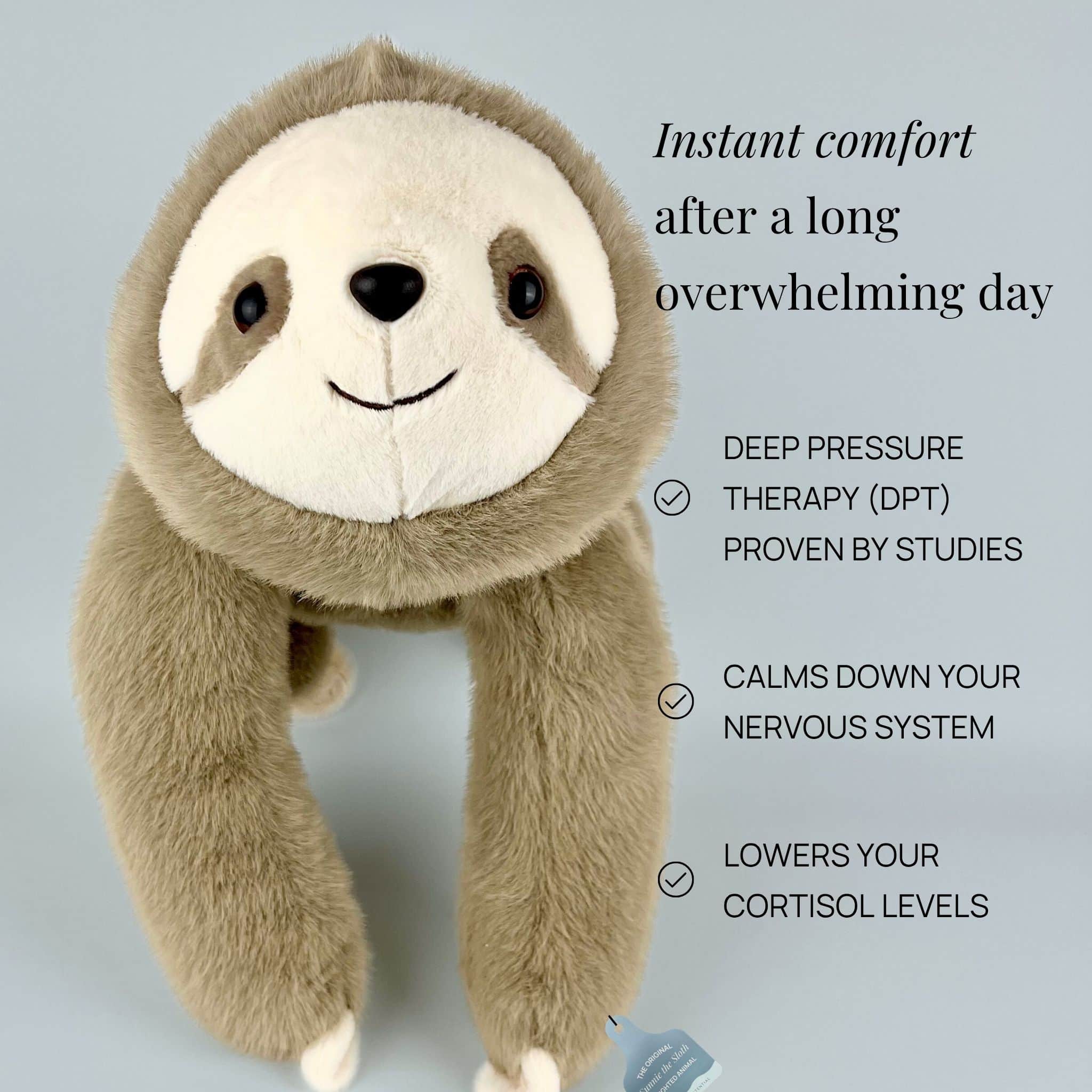 Comfort Panda